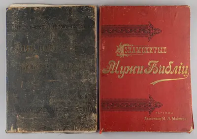 Маймон М.Л. Два художественных альбома (папки фототипий) (СПБ., 1890-е годы).