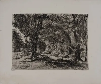 Тейс Евгений Сергеевич. Гагры. 1966.
