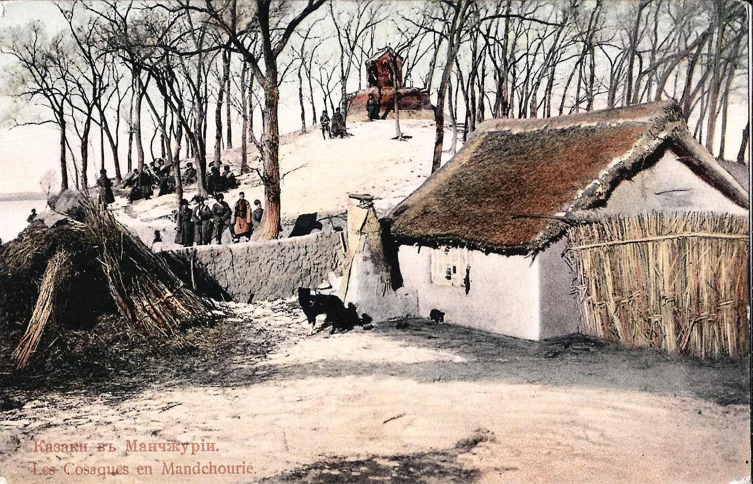 Открытка «Казаки в Манчжурии». Издание Д.П. Ефимова, 1900-е годы. — фото 1