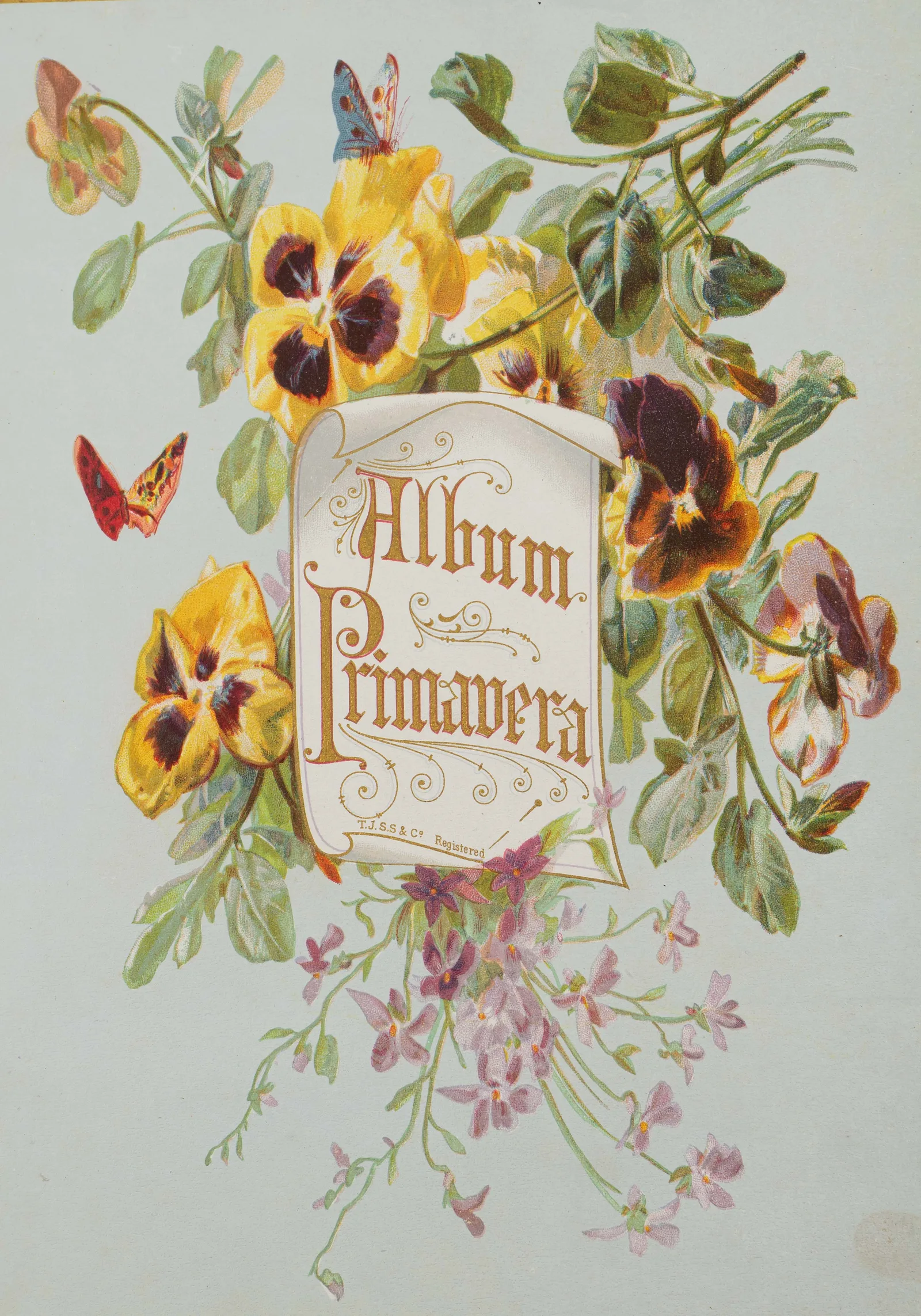 Альбом с изображением птиц.
Великобритания, Лондон, издательство T.J.S.S. & Co, конец 1870-х – начало 1900-х годов. — фото 4