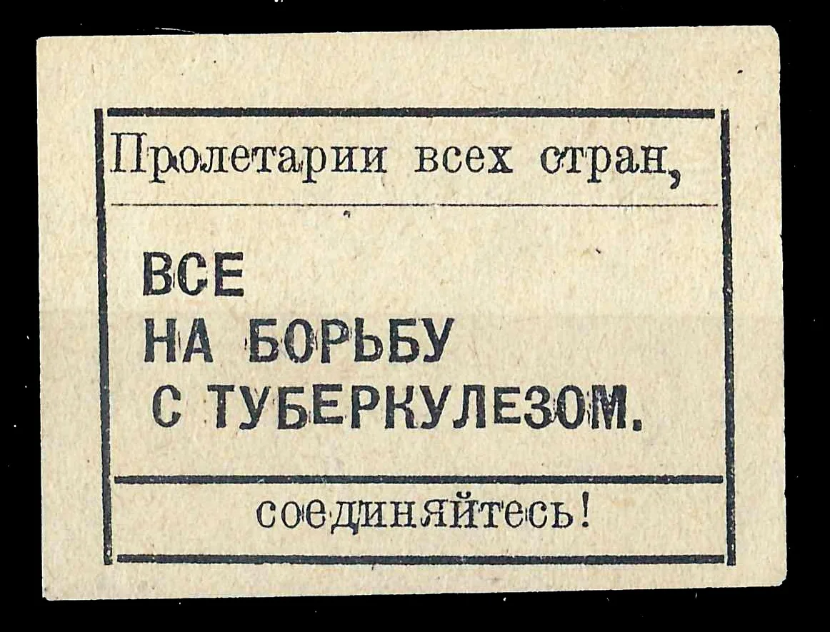 Владивосток. Непочтовая виньетка «Все на борьбу с туберкулёзом». 16 июня 1930 года. — фото 1