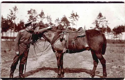 Фотооткрытка «Кавалерист». Начало XX века.