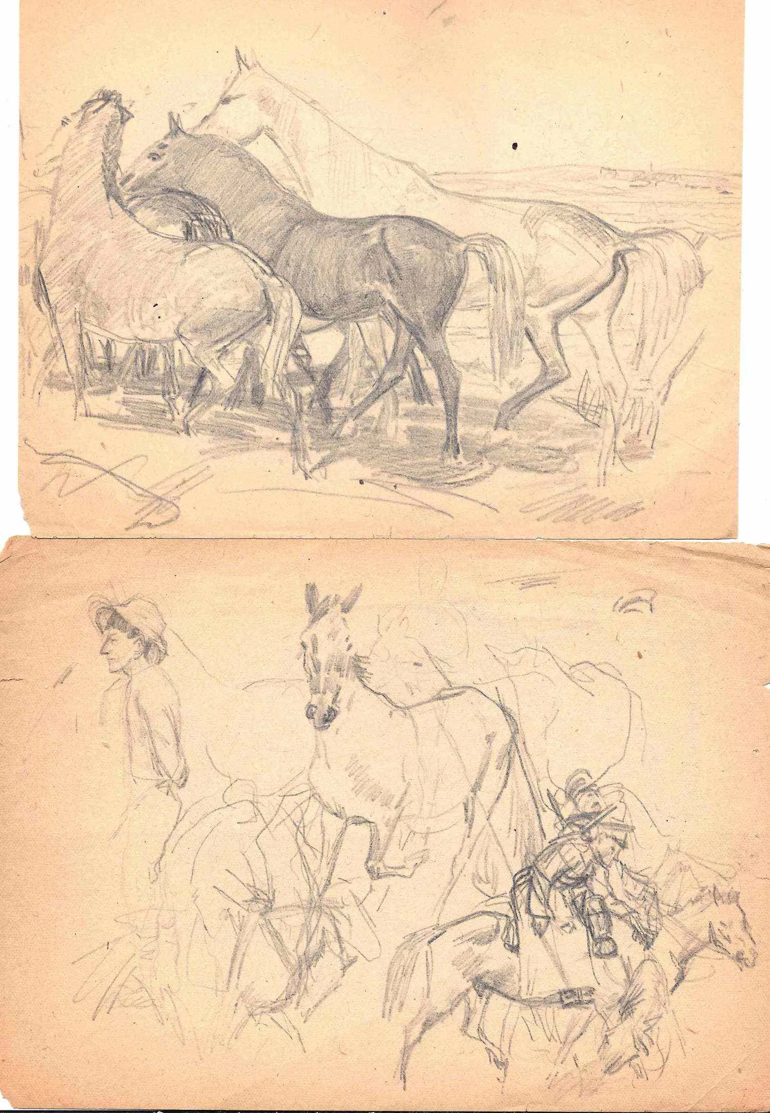 Годин Игорь Михайлович. Три эскиза «Кони». 1950-е годы. — фото 3