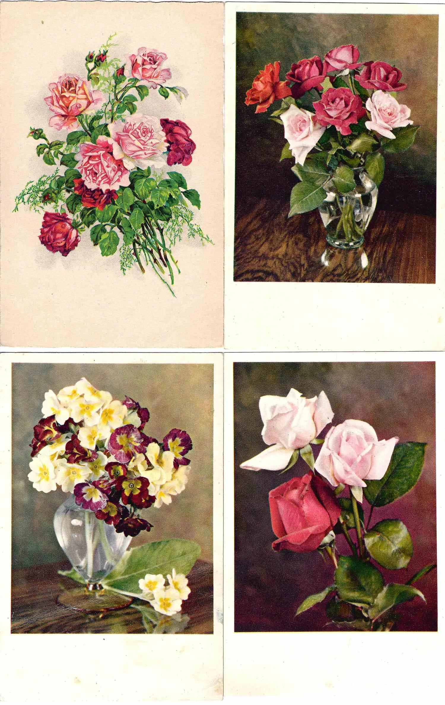 43 открытки «Цветы». СССР, Европа, Азия, 1950-е - 1970-е годы. — фото 2