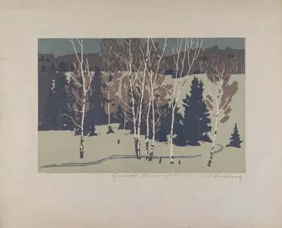 Неизвестный художник (подарок Титову Ярославу Викторовичу). Березы. 1940-е – 1950-е годы.
