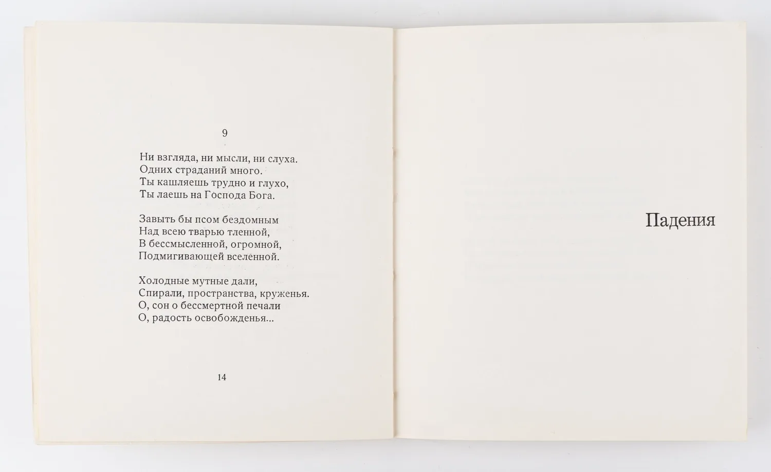Пастухов В. Хрупкий полёт. Книга стихов. — фото 3