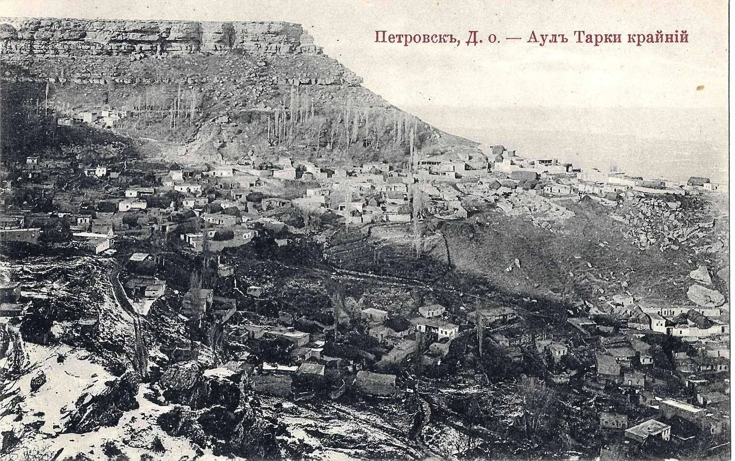 Петровск. Открытка «Аул Тарки крайний». Издание И.А. Рогачёва, нач. XX века. — фото 1