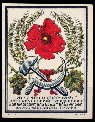 Тифлис. Непочтовая виньетка Наркомздрава Грузинской ССР «Туберкулёзный трёхдневник». 1931.