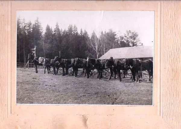 5 фотографий. СССР, 1920-е годы. — фото 1