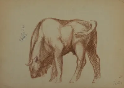Рябов С. Бизон. 1960-е годы.