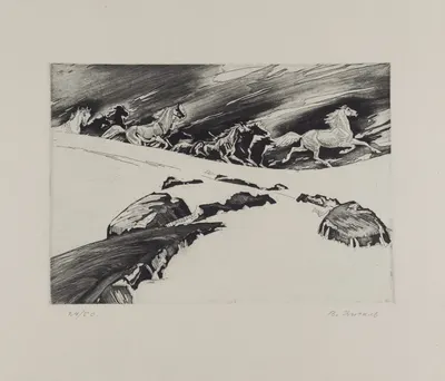 Цигаль Виктор Ефимович. Жеребцы. 24/50. 1960-е годы.
