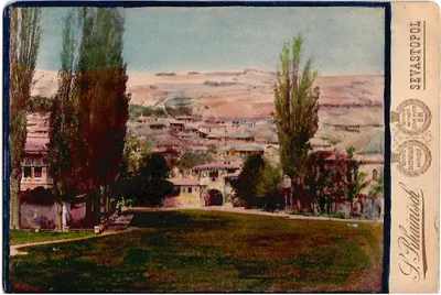 Райниш С.И. Кабинетная фотография «Вид Крыма». 1890-е годы.