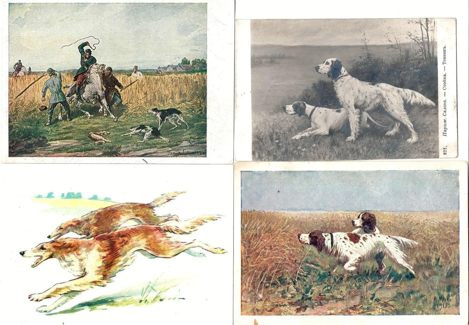 20 открыток «Охота». Россия, СССР, 1900-е - 1950-е годы. — фото 4