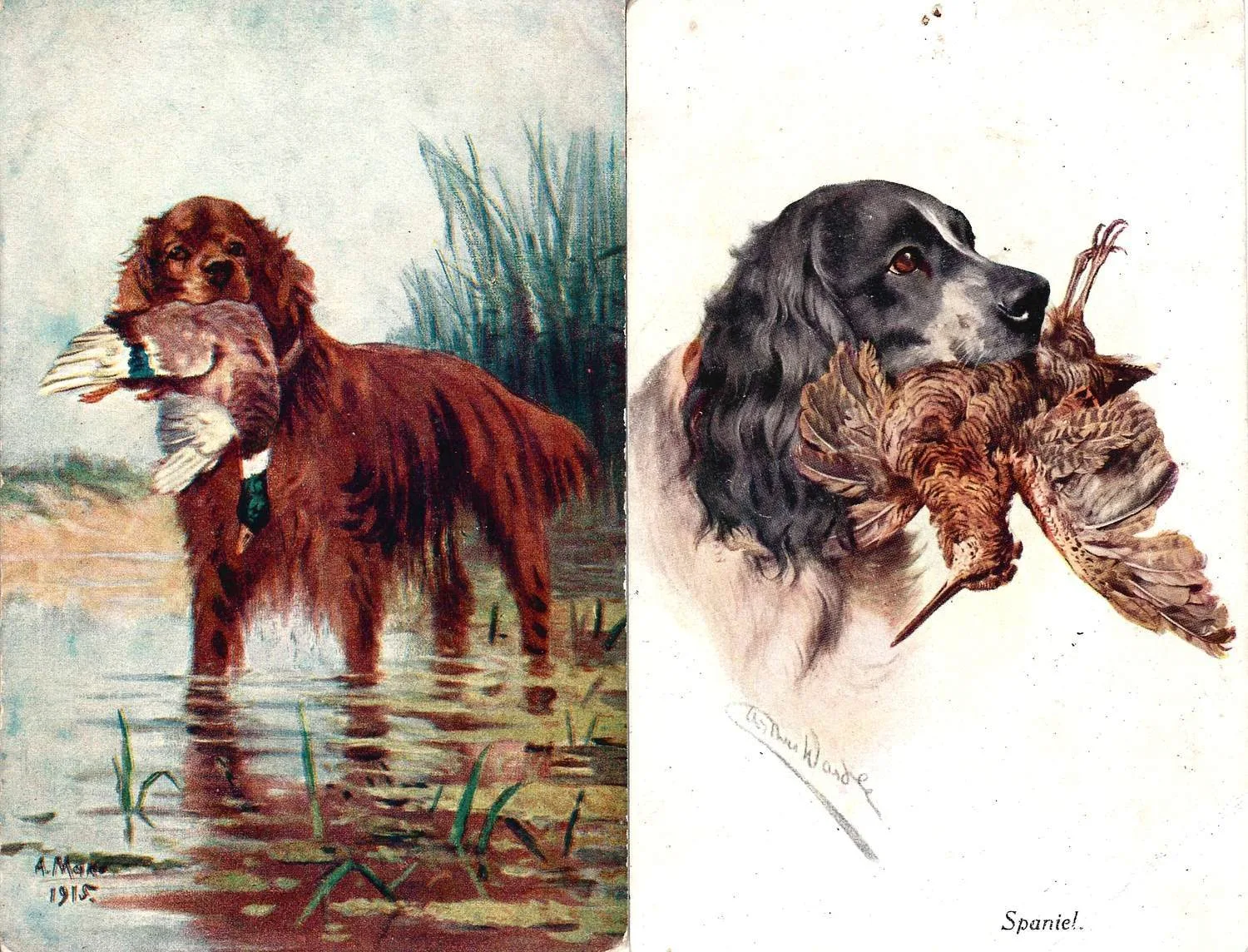 20 открыток «Охота». Россия, СССР, 1900-е - 1950-е годы. — фото 2