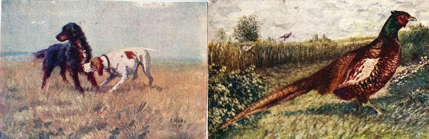 20 открыток «Охота». Россия, СССР, 1900-е - 1950-е годы. — фото 7
