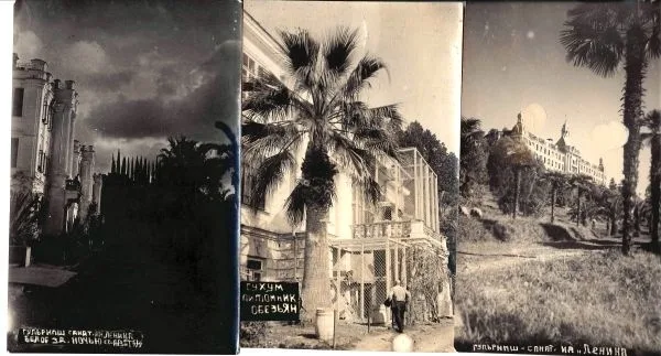 10 открыток и фотографий формата открытки «Грузинская ССР». 1920-е - 1930-е годы. — фото 3