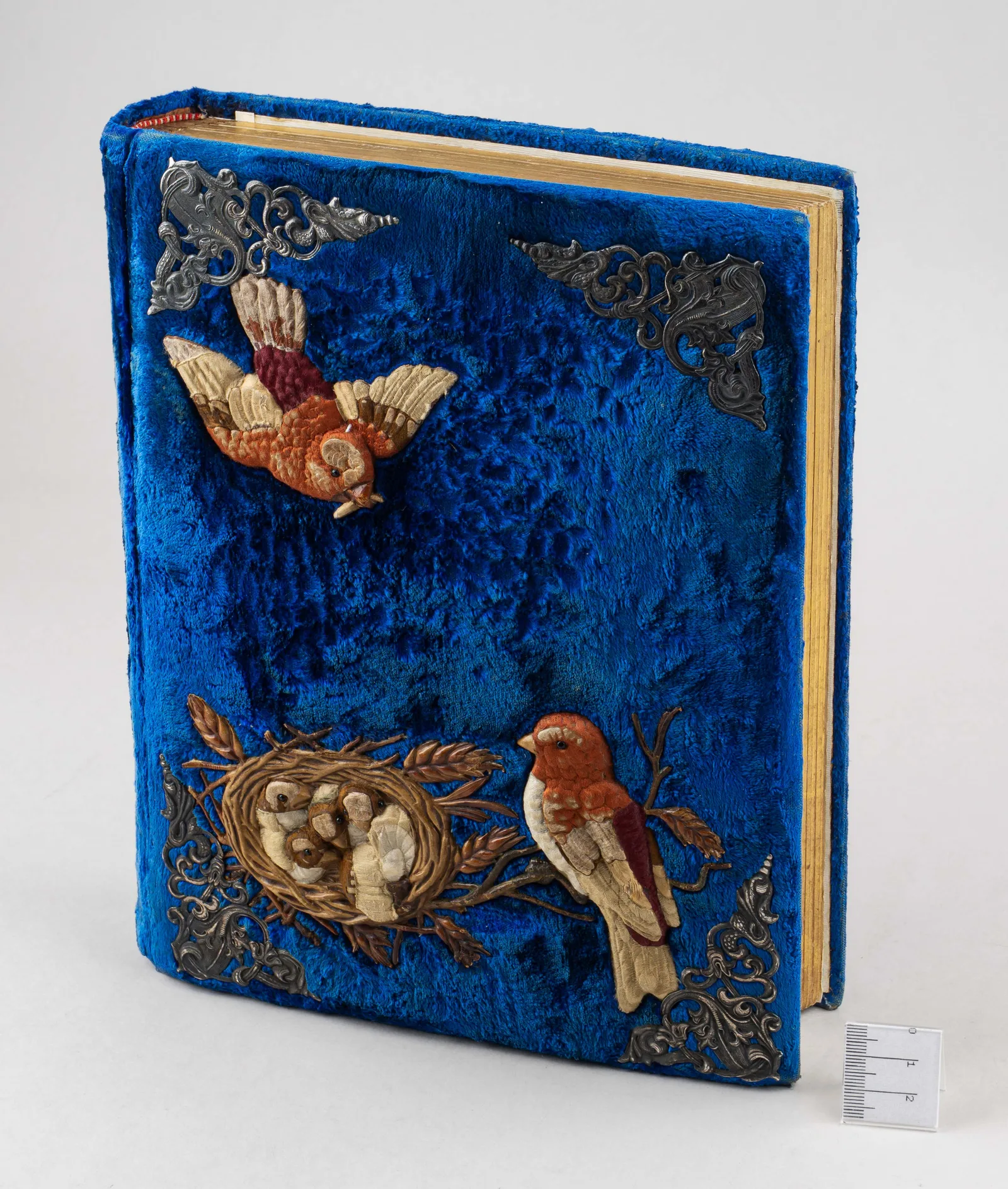 Альбом с изображением птиц.
Великобритания, Лондон, издательство T.J.S.S. & Co, конец 1870-х – начало 1900-х годов. — фото 1