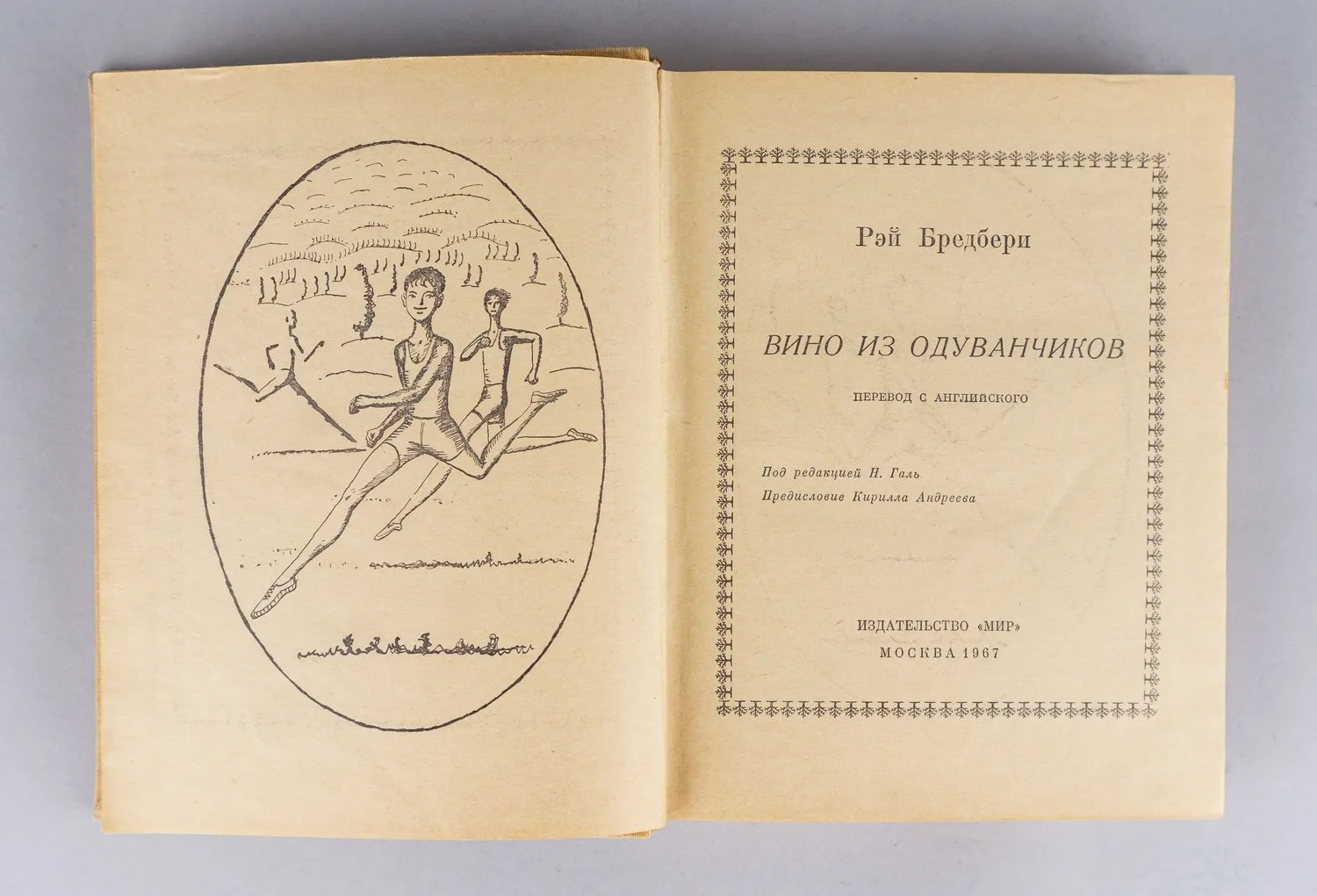 Брэдбери Р. Вино из одуванчиков (М., 1967). Первое издание на русском языке. — фото 2
