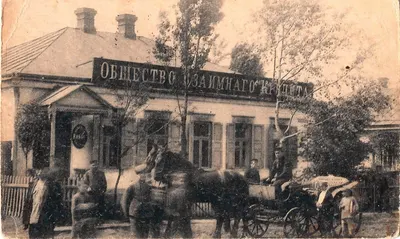 Синельниково. Открытка «Банк взаимного кредита». Издание контрагентства А.С. Суворина и Ко, 1917.