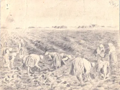 Кулагин Александр Сергеевич. Сбор урожая. 1979.