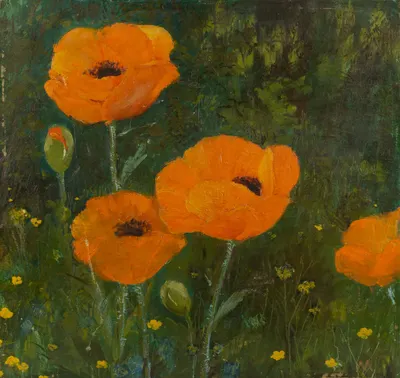 Неизвестный художник (М. по подписи). Маки. 1990-е годы.