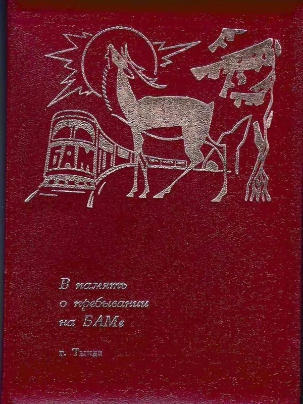 39 фотографий ""На строительстве БАМа"". 1970-е годы. В специальной папке ""В память о пребывании на БАМе. Г. Тында"". — фото 1