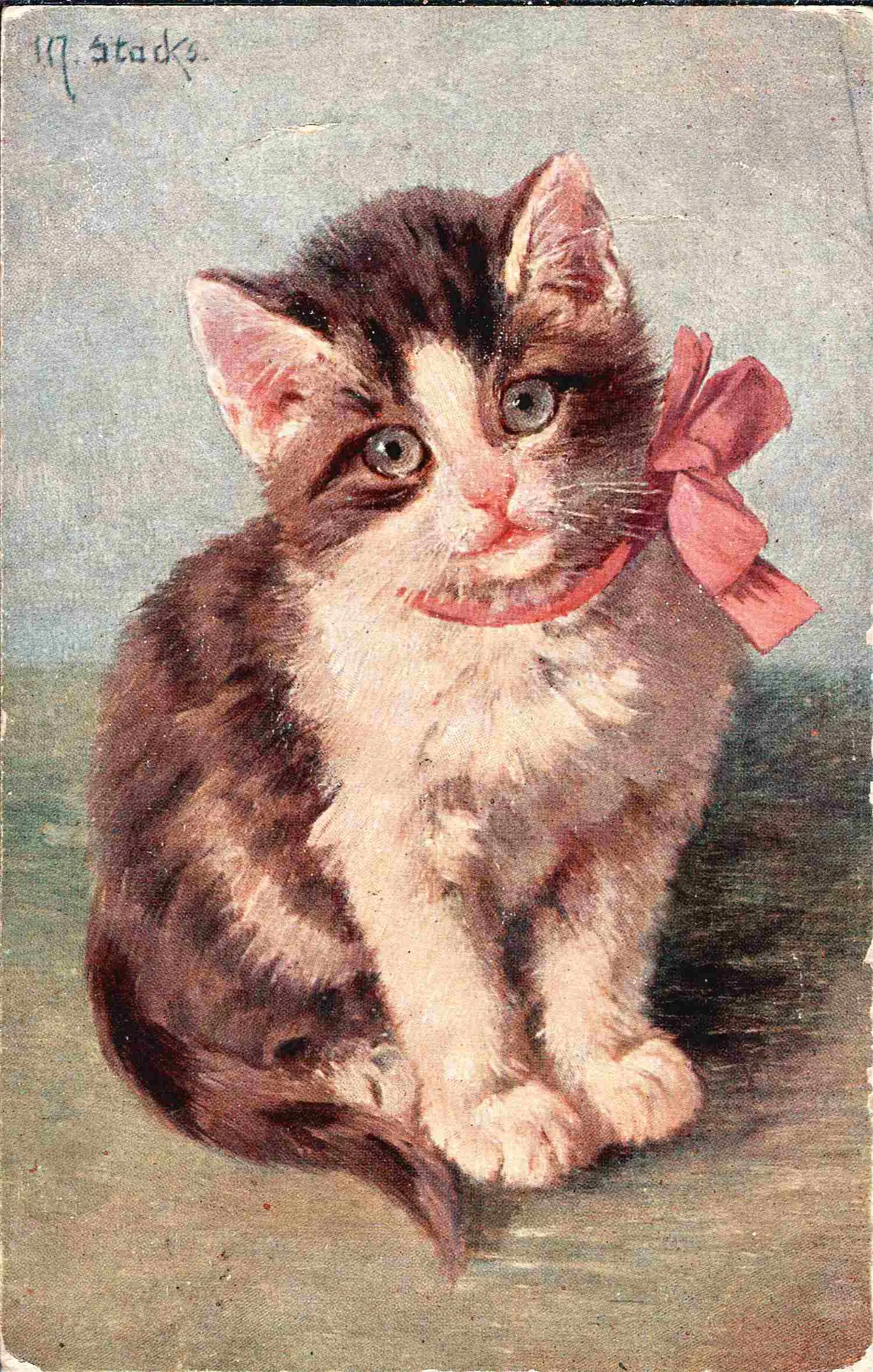 60 открыток «Кошки». Россия, СССР, Зап. Европа, XX век. — фото 1