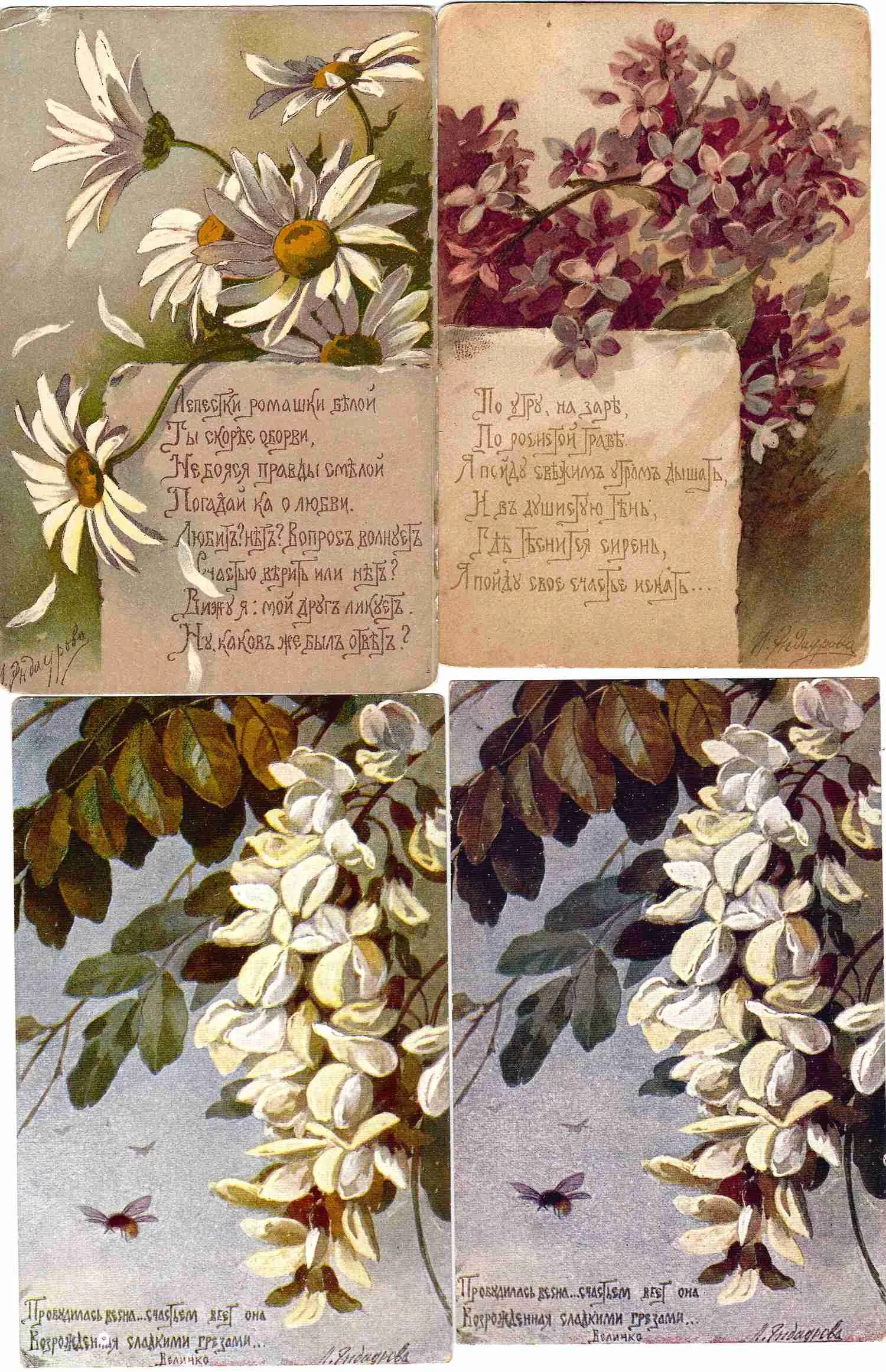 Эндаурова Л.М. 6 открыток «Цветы». Россия, СССР, 1910-е - 1920-е годы. — фото 1