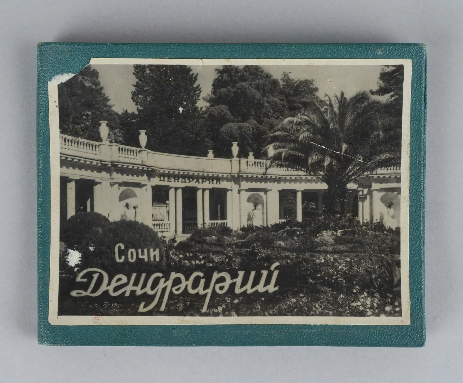 20 фотографий (комплект в издательской папке) «Фотовиды сочинского парка «Дендрарий». 1953. — фото 1