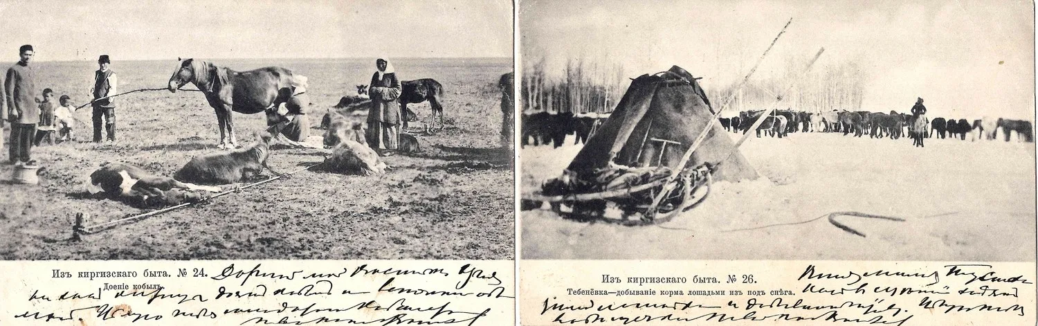 2 открытки «Из киргизского быта». Издание Ф.И. Загорского, нач. XX века. — фото 1