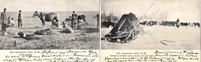2 открытки «Из киргизского быта». Издание Ф.И. Загорского, нач. XX века.