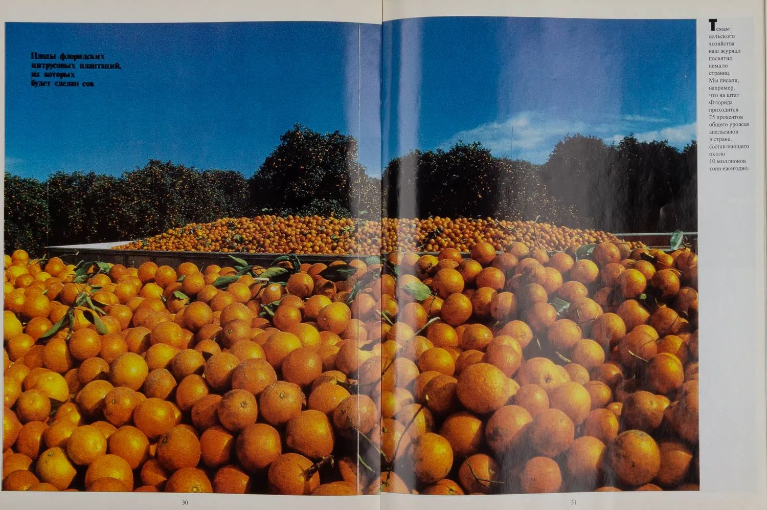 (Гудбай, Америка…) Америка. 1994. Сентябрь. Последний номер журнала. — фото 3