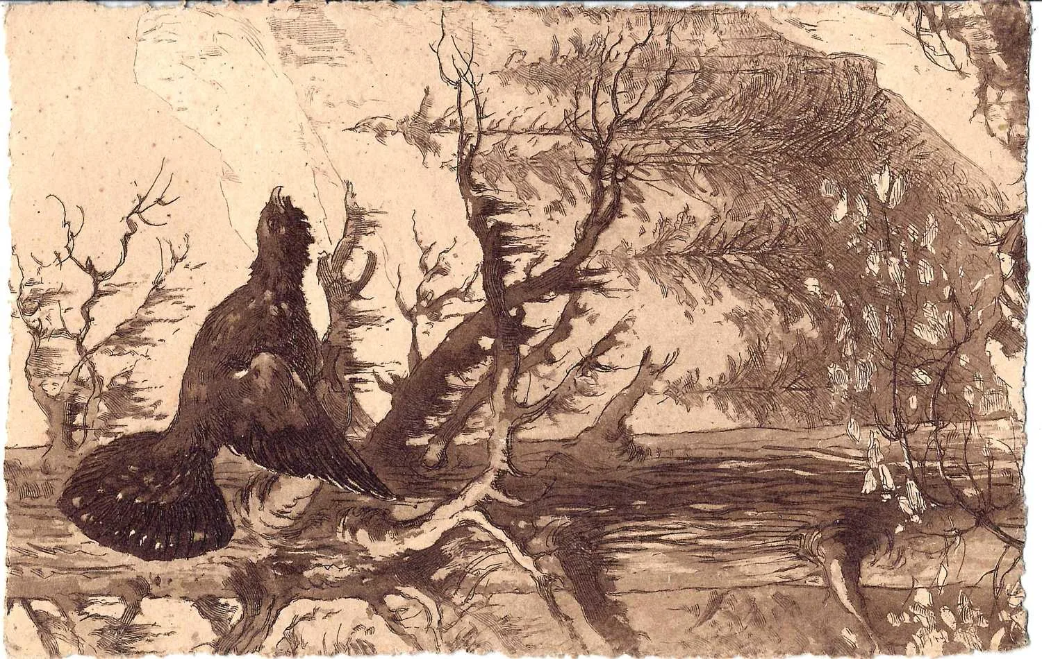 2 открытки «Лес» в технике офорта. Нач. XX века. — фото 2