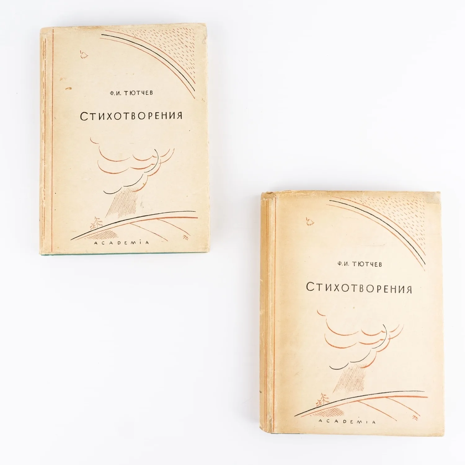 (Оформл. Д. Митрохина) Тютчев Ф.И. Полное собрание стихотворений: в 2 т. Т.1-2. Ред. и коммент. Г. Чулкова. — фото 2