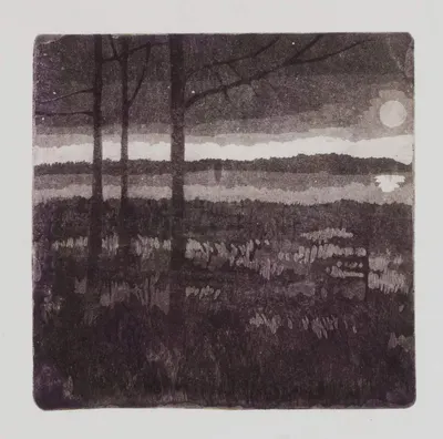 Соколовская Кира Олеговна. Покровский парк. 2010.
