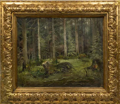 Константинов Николай Константинович. В лесу близ Хотьково. Первая четверть XX века.
