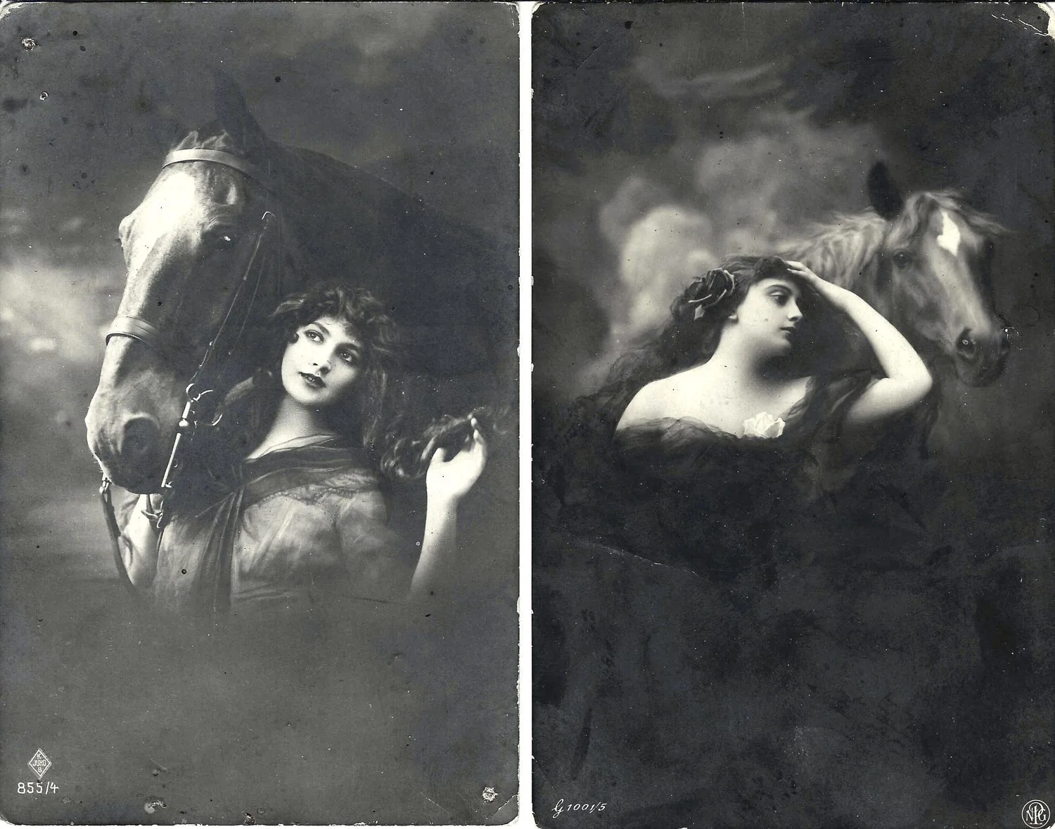 15 открыток «Лошади». Россия, СССР, Зап. Европа, 1900-е - 1930-е годы. — фото 1