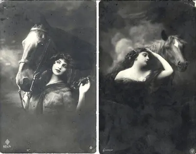 15 открыток «Лошади». Россия, СССР, Зап. Европа, 1900-е - 1930-е годы.