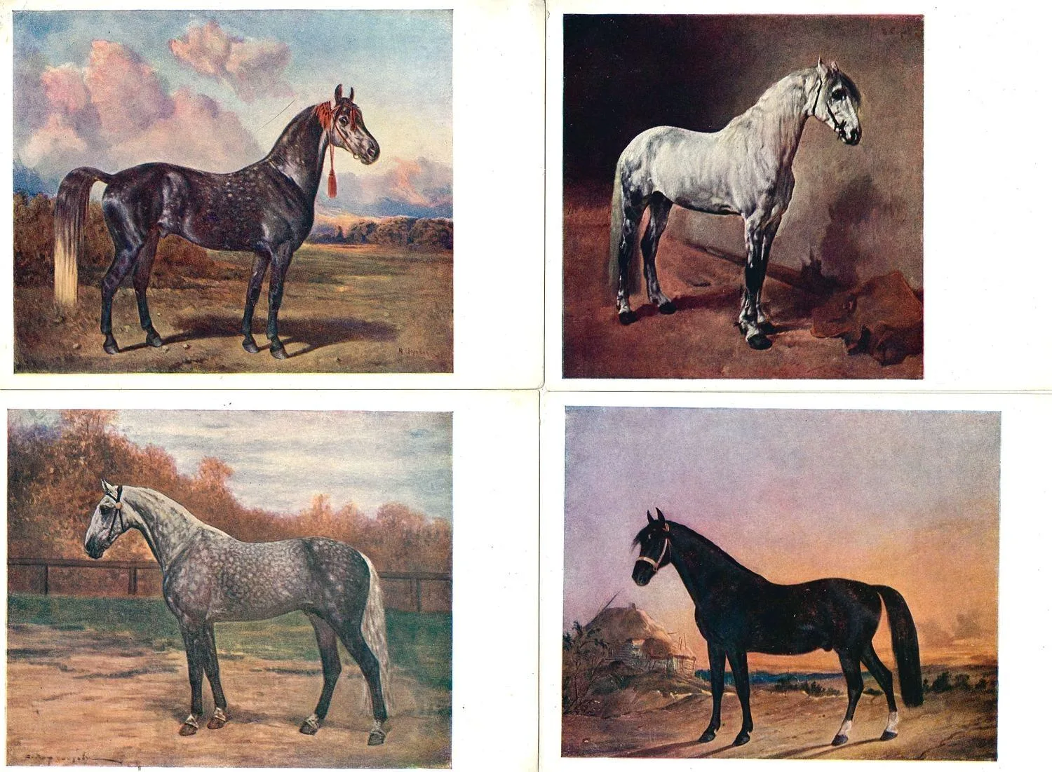 15 открыток «Лошади». Россия, СССР, Зап. Европа, 1900-е - 1930-е годы. — фото 4