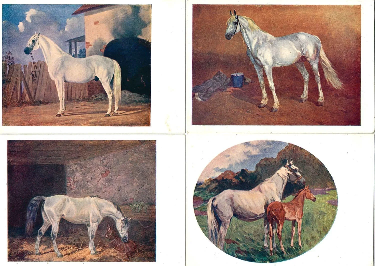15 открыток «Лошади». Россия, СССР, Зап. Европа, 1900-е - 1930-е годы. — фото 3