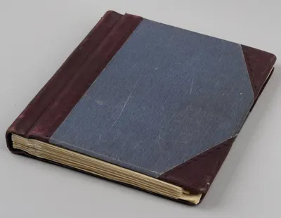 Германия. Более 800 марок и 6 блоков в специальном альбоме. 1870-е - 1940-е годы.