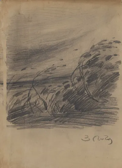 Пичугин Захар Ефимович. Эскиз с колосьями. 1940-е - 1950 -е года.