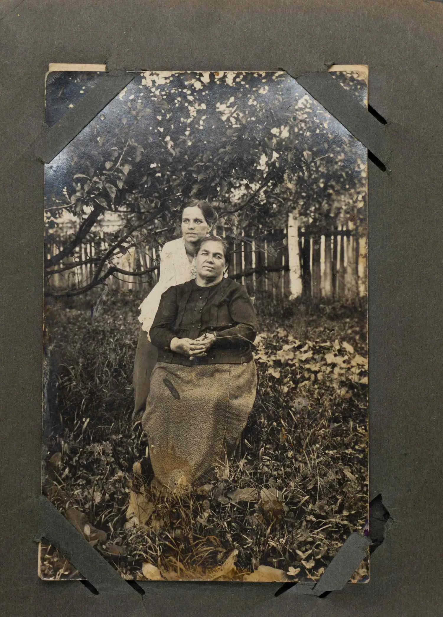 30 фотографий (формата открытки) из семейного архива в альбоме. Россия, 1910-е - 1920-е годы. — фото 2